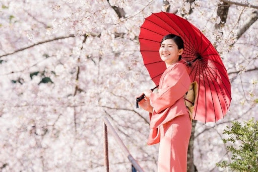 着物で花見】色や柄・帯の選び方！映える桜名所をご紹介 | 日本最大級 